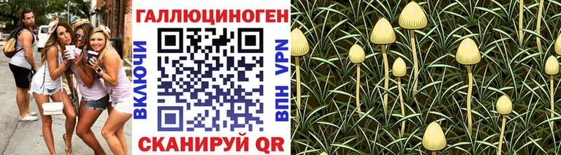 Галлюциногенные грибы Cubensis  Волгореченск 